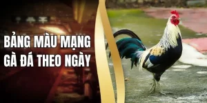 Bảng Màu Mạng Gà Đá Theo Ngày - Cách Xem Ngũ Hành Chuẩn