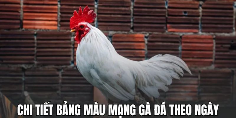 Chi tiết bảng màu mạng gà đá theo ngày trong ngũ hành