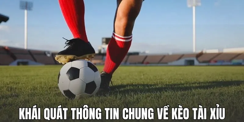 Khái quát thông tin chung về kèo tài xỉu
