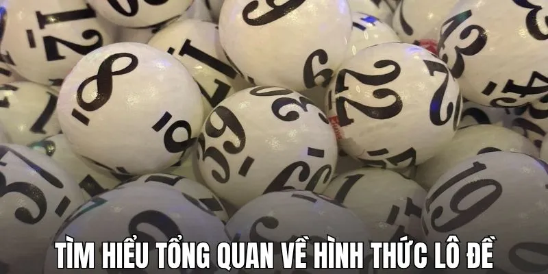 Khám phá những điểm tổng quan về hình thức lô đề