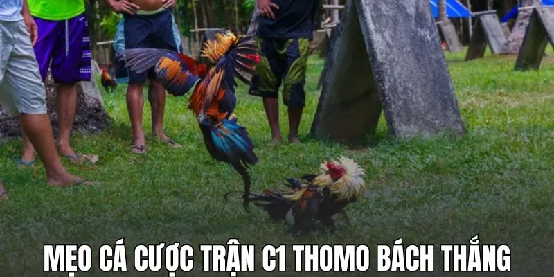 Mẹo hay giúp chơi cá cược trận C1 Thomo bách thắng