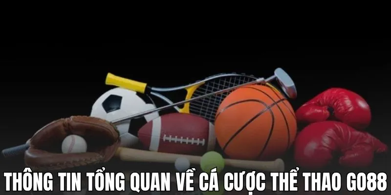 Thông tin tổng quan về cá cược thể thao GO88